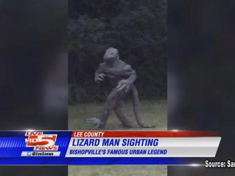 Weird Fun Facts About South Carolina Celadon Living