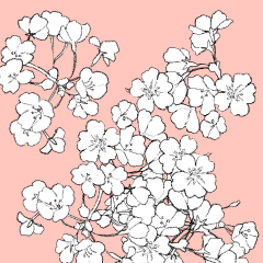 Pin On Sakura 桜の花 まとまり - Clip Studio Assets