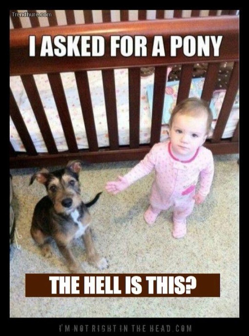 The 15 Cutest Baby Memes For Moms Celeb Baby Laundry