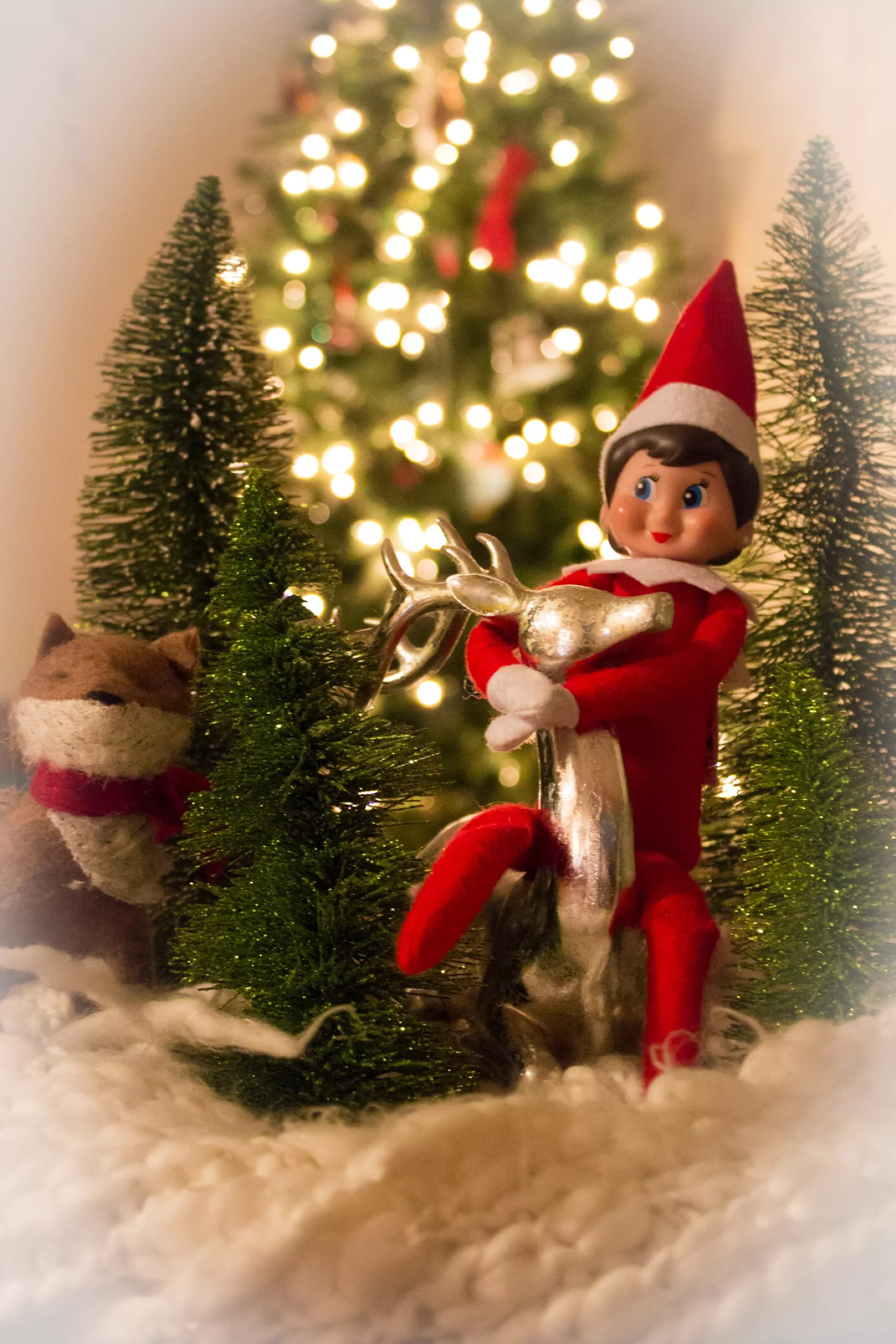 10 Reasons to do Elf on the Shelf with Your Family Celeb Baby Laundry