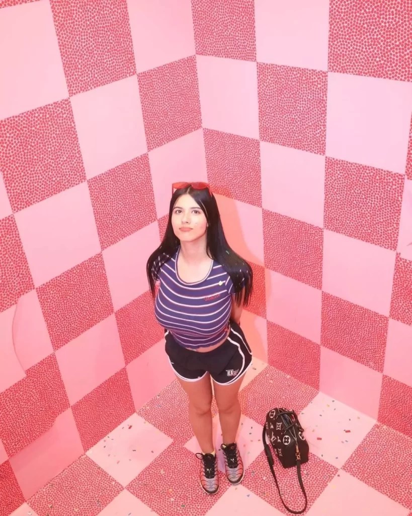 StrawberryTabby (Twitch Streamer) Age, Boyfriend, Wiki, Bio, Net Worth