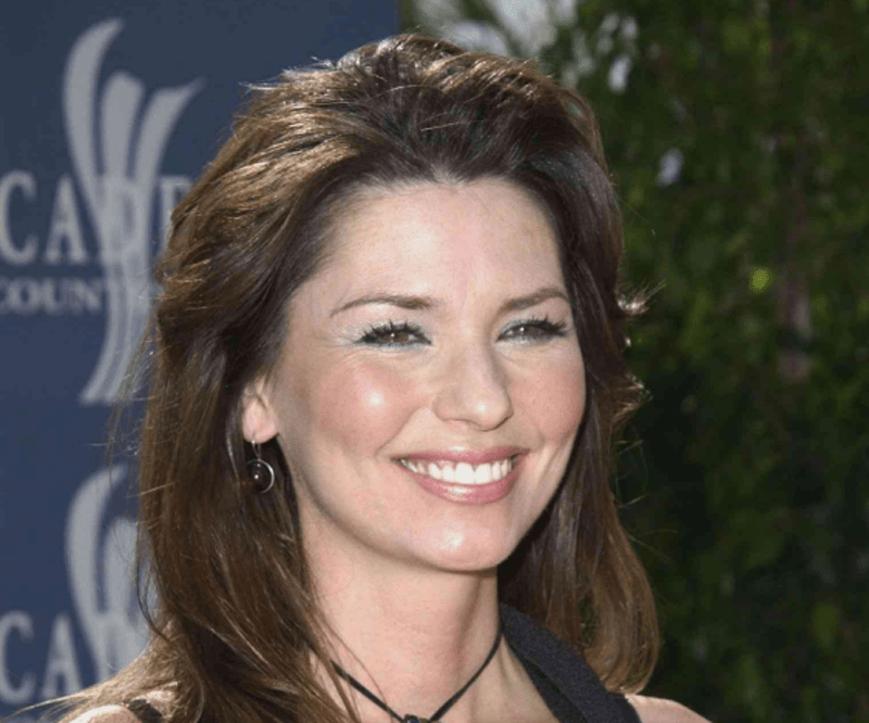 Shania Twain Diet Plan Celebie