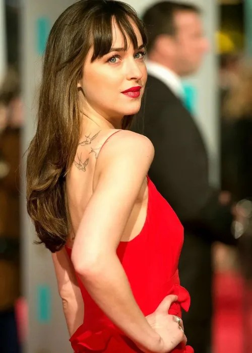 Dakota Johnson Biography, Facts, Affairs & More