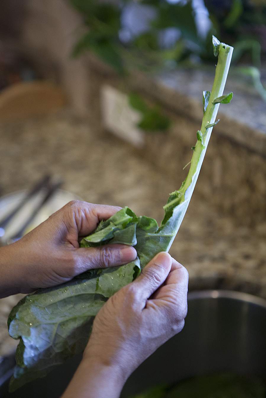 How to Cut Collard Greens Celebrate Creativity