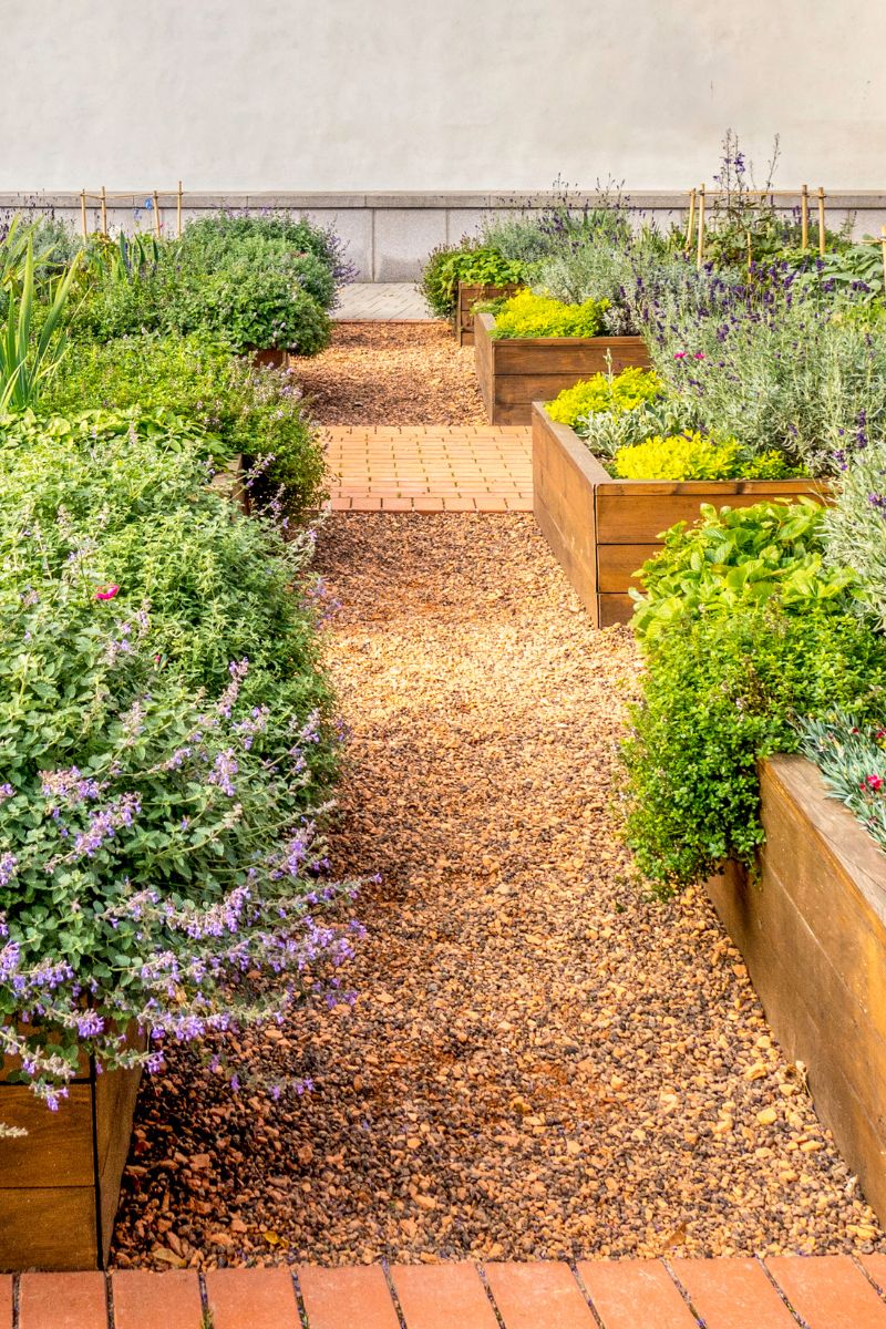 Choosing the Best Soil for Herbs in Raised Beds