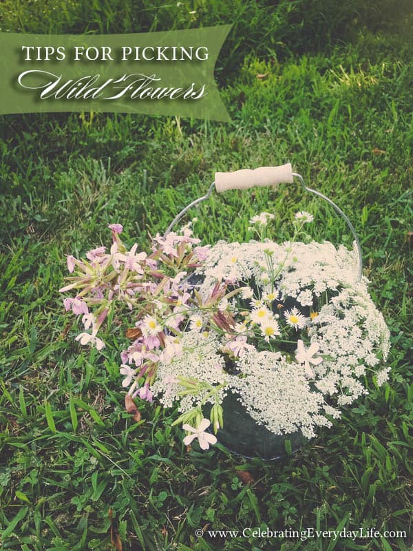 Tips for Picking Wild Flowers Celebrating everyday life with Jennifer