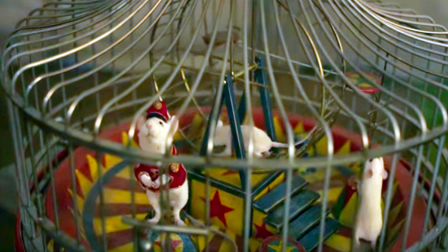 6 Fun Facts About Dumbo and Timothy Q. Mouse Celebrations Press