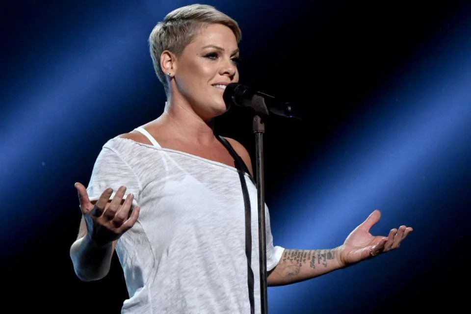 Pink’s Savage Response To Instagram Troll Who Criticized Her Family