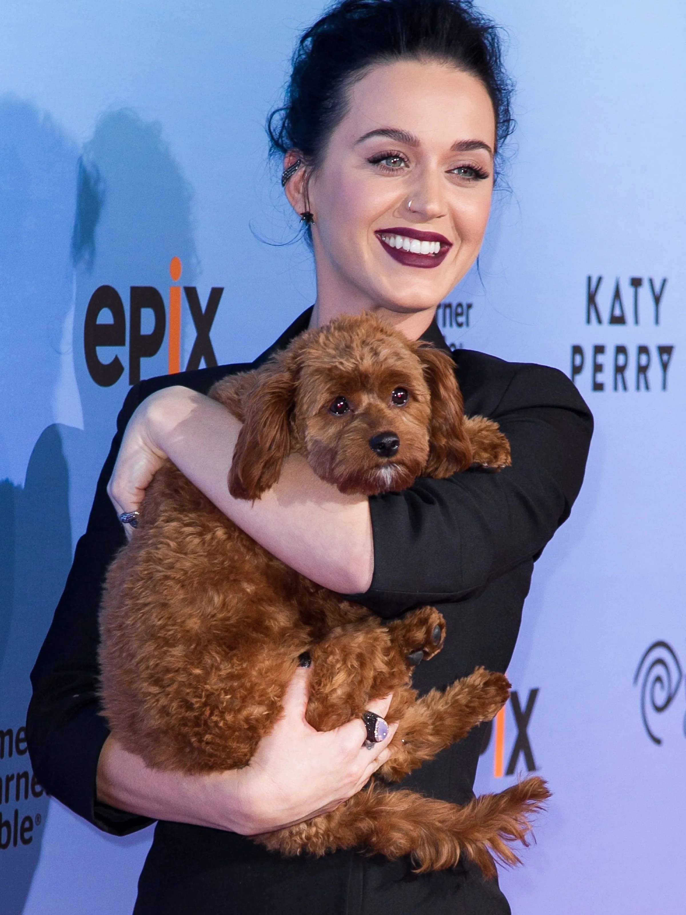 Katy Perry Pets Celebrity Pet Worth