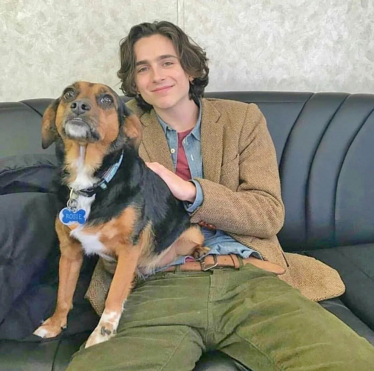 Timothe Chalamet Pets Celebrity Pets