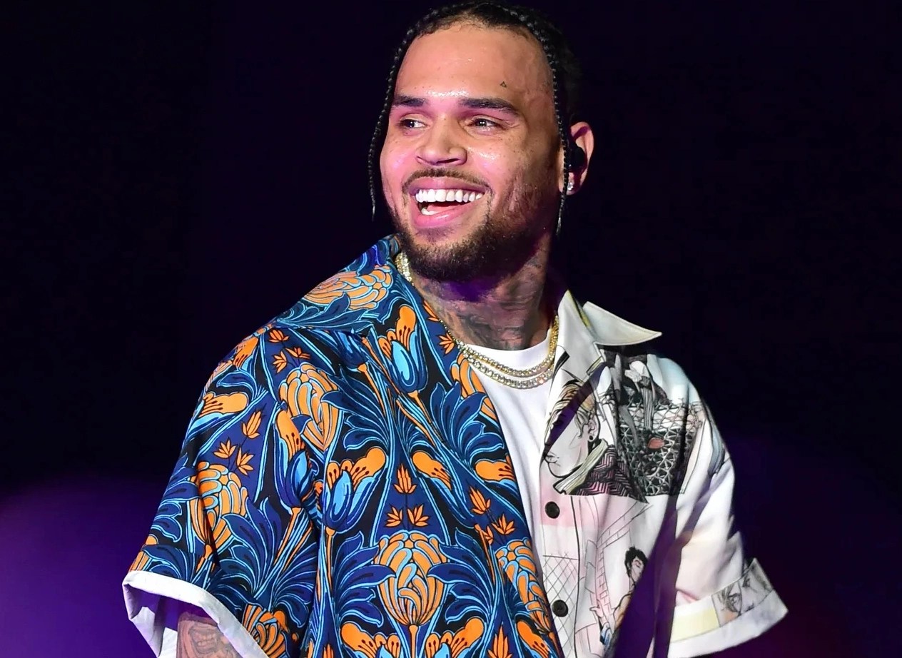 Chris Browns Empire Inside the Jaw Dropping Net Worth of R&Bs