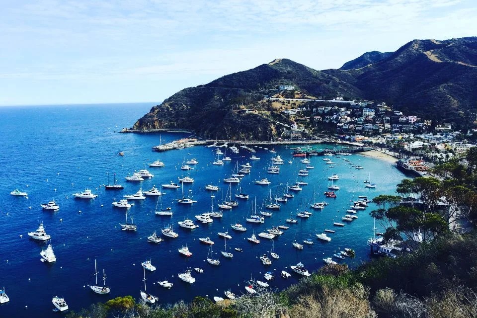 Catalina Island Hotels A Staycation Awaits You Celebzero