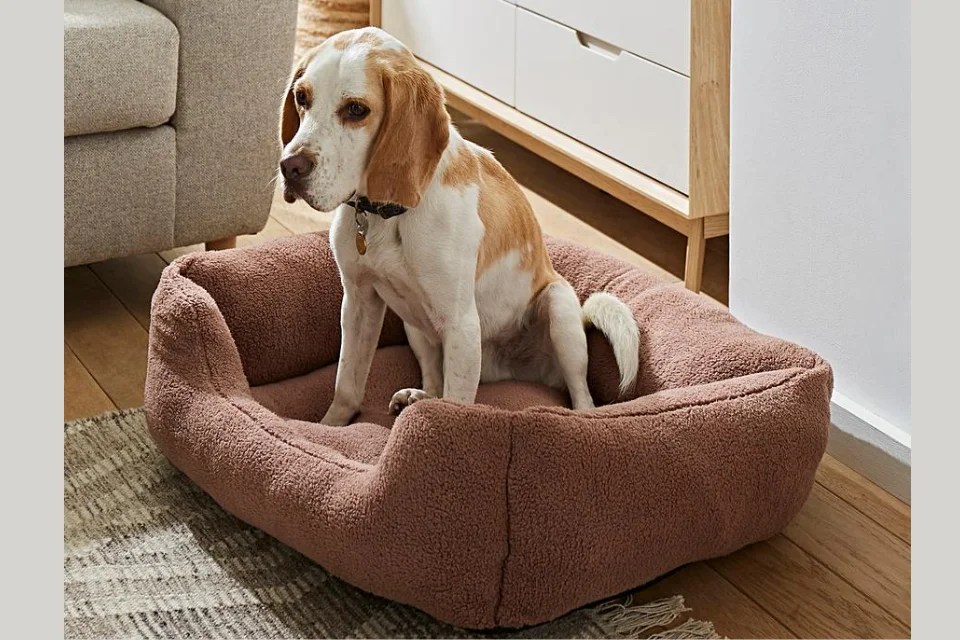 The 7 Best Dog Toys for Keeping Your Pup entertained