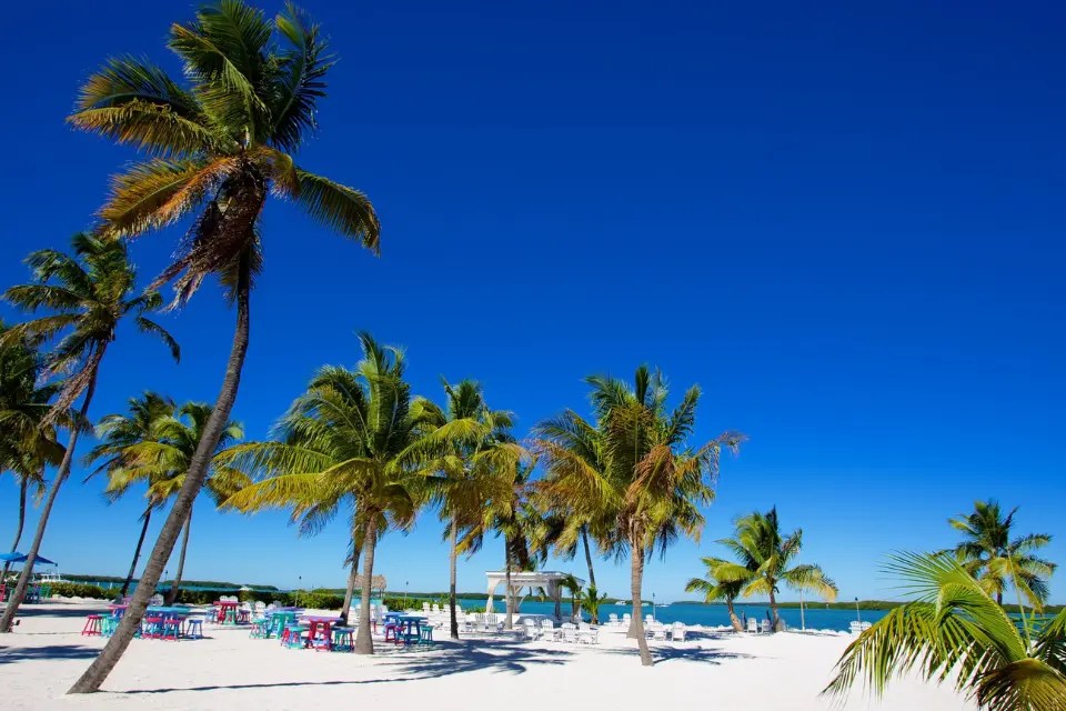 Uncovering the Best Hotels in Islamorada for your vacations
