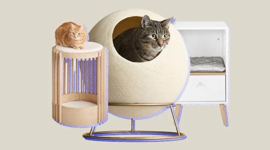 The Best Cat Furniture to Keep Your Feline Friend Happy