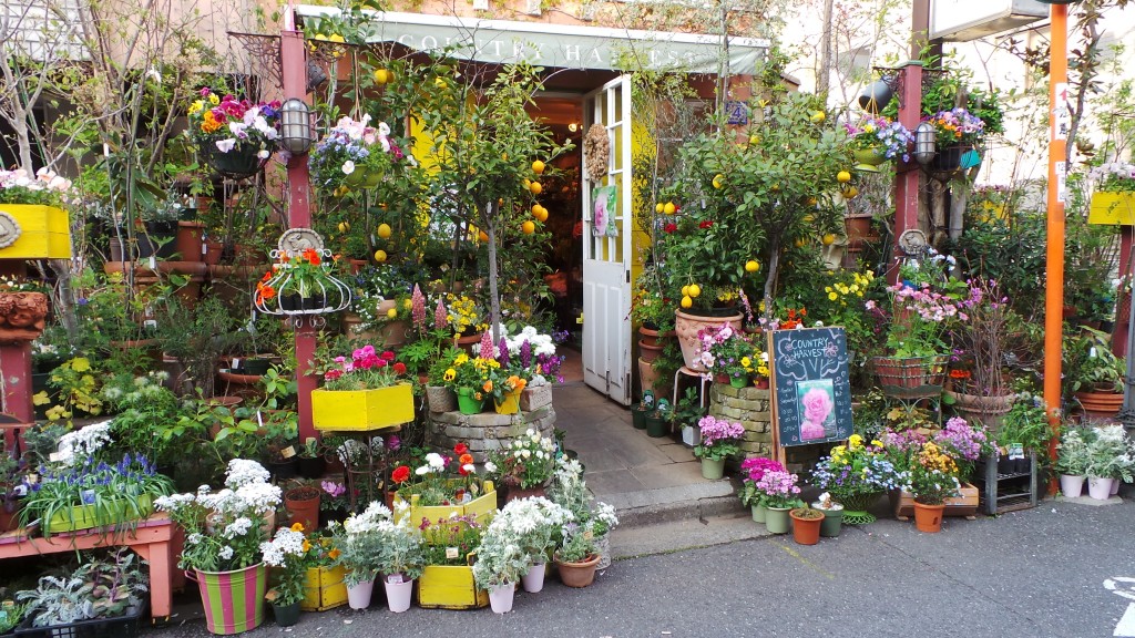 The tiny gardens of Japan • Art, Travel and Japan by Celeste Ortelee