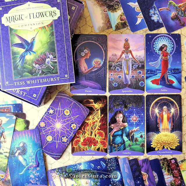 The Magic of Flowers Oracle Cards by Tess Whitehurst