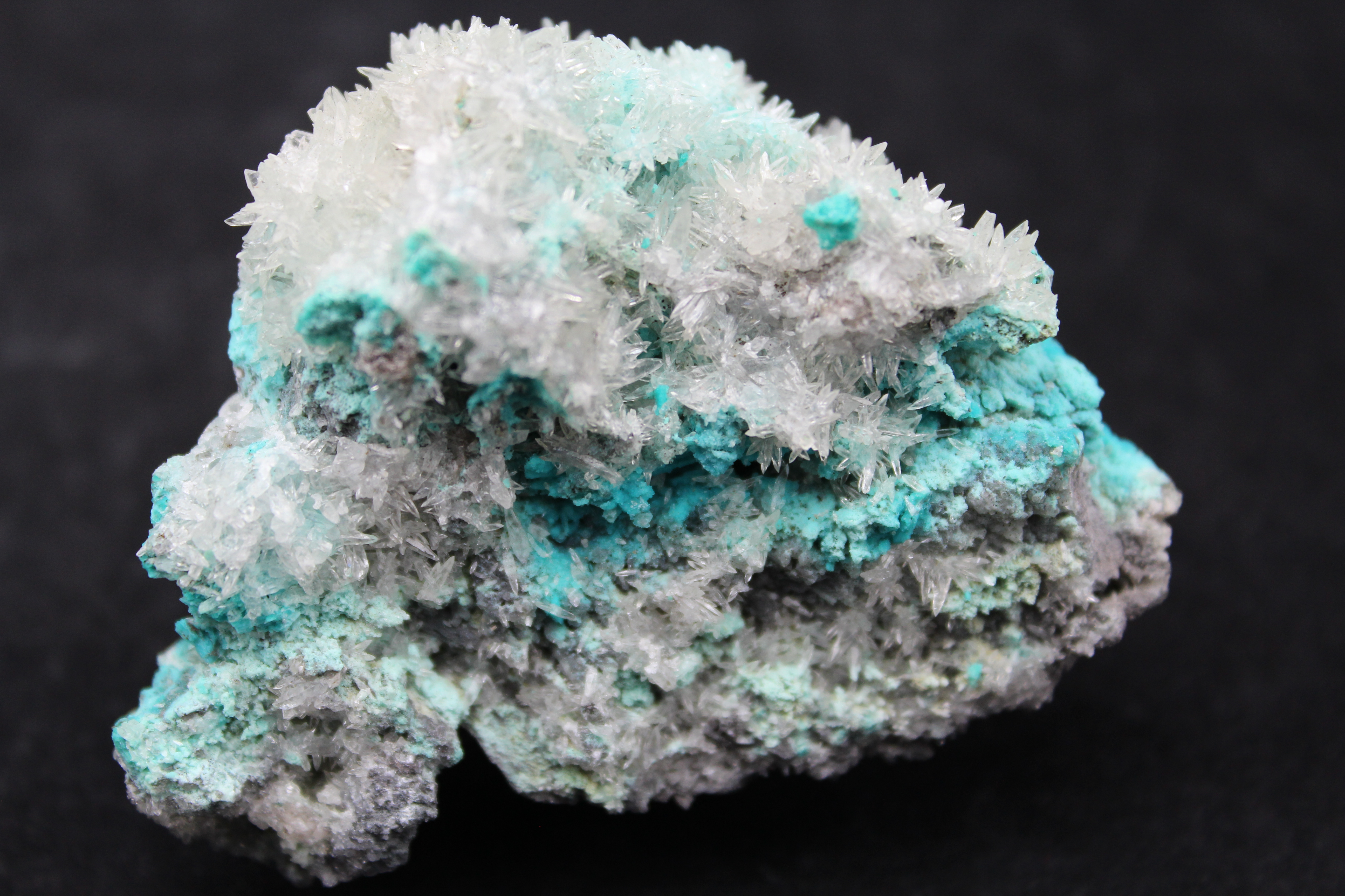 Chrysocolla with Dogtooth Calcite Mineral Specimen Celestial Earth Minerals