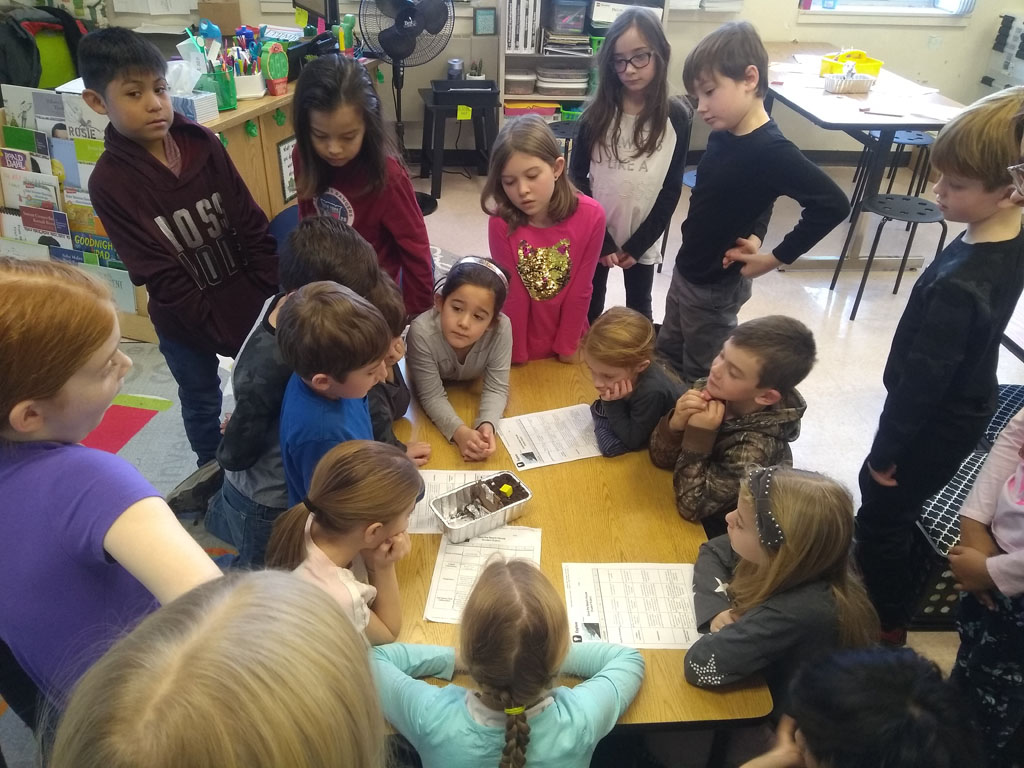 Warwick Valley Central School District Children's Environmental