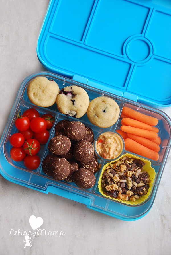 Gluten Free Snacks for Kids (and Adults!) Celiac Mama