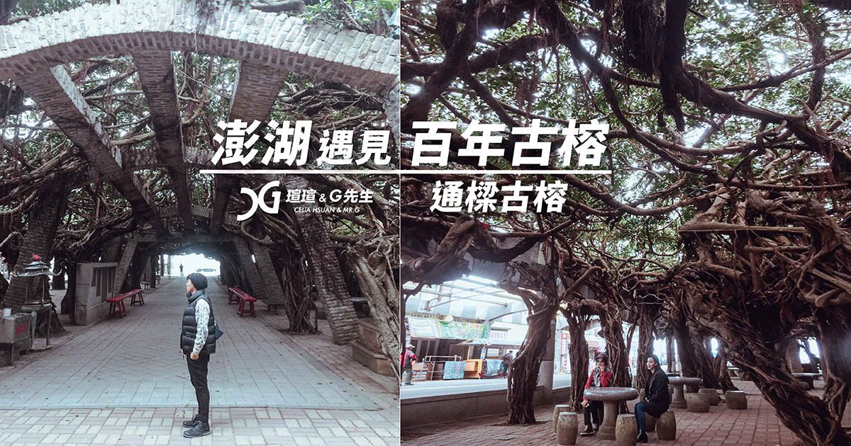澎湖景點推薦 通樑古榕 澎湖必去景點