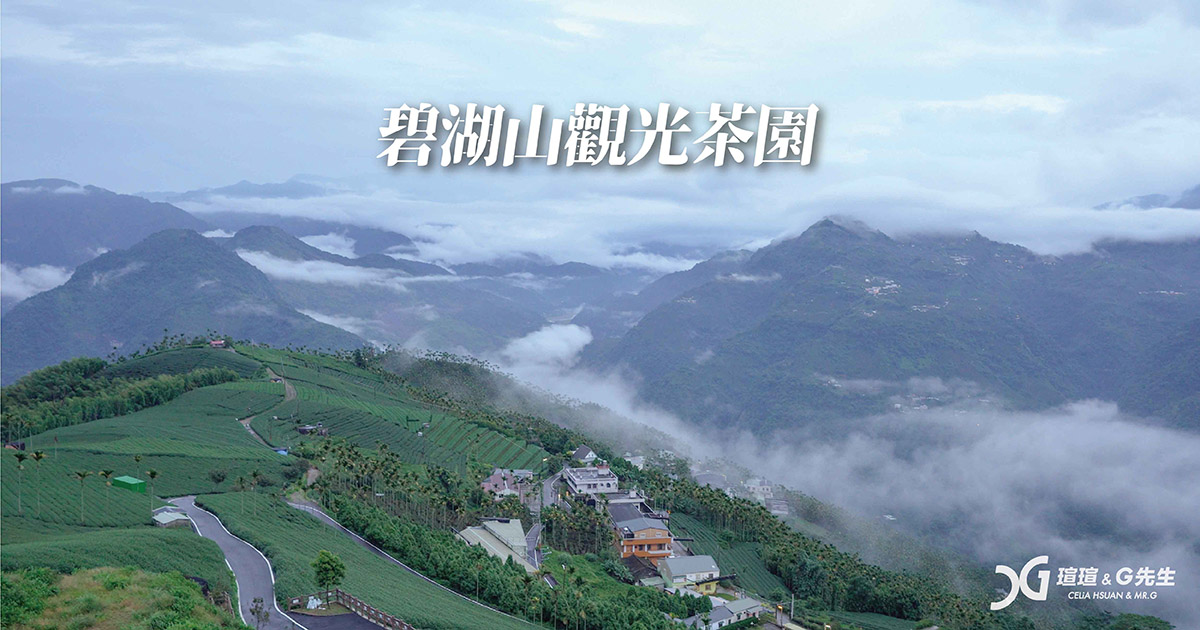 碧湖山觀光茶園 嘉義梅山景點推薦
