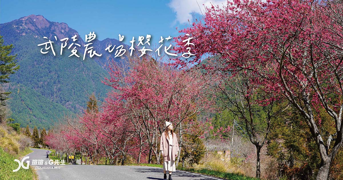 武陵農場櫻花季
