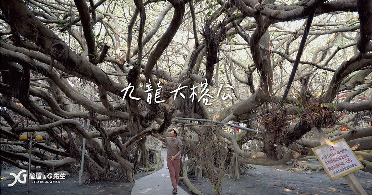 彰化景點 彰化旅遊 九龍大榕公