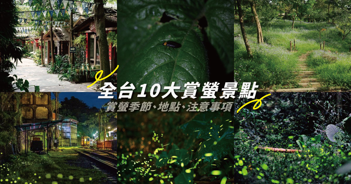 【2024螢火蟲季】精選全台10個熱門賞螢景點推薦，賞螢季節、時間、地點、注意事項一次看