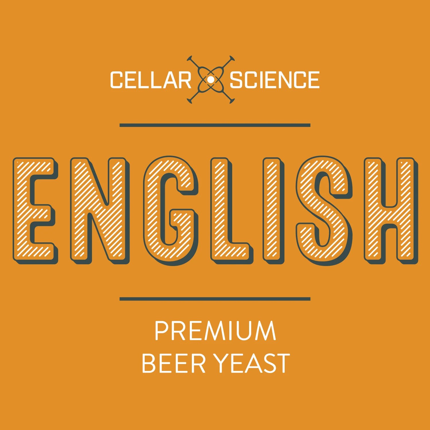 ENGLISH Dry Beer Yeast Cellar Science