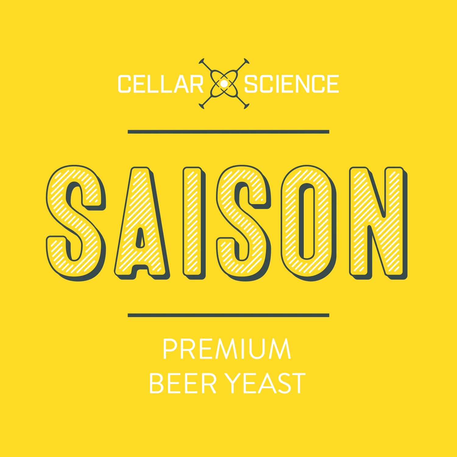 SAISON Dry beer Yeast Cellar Science
