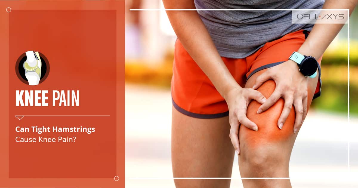 Knee Pain Can Tight Hamstrings Cause Knee Pain? Cellaxys