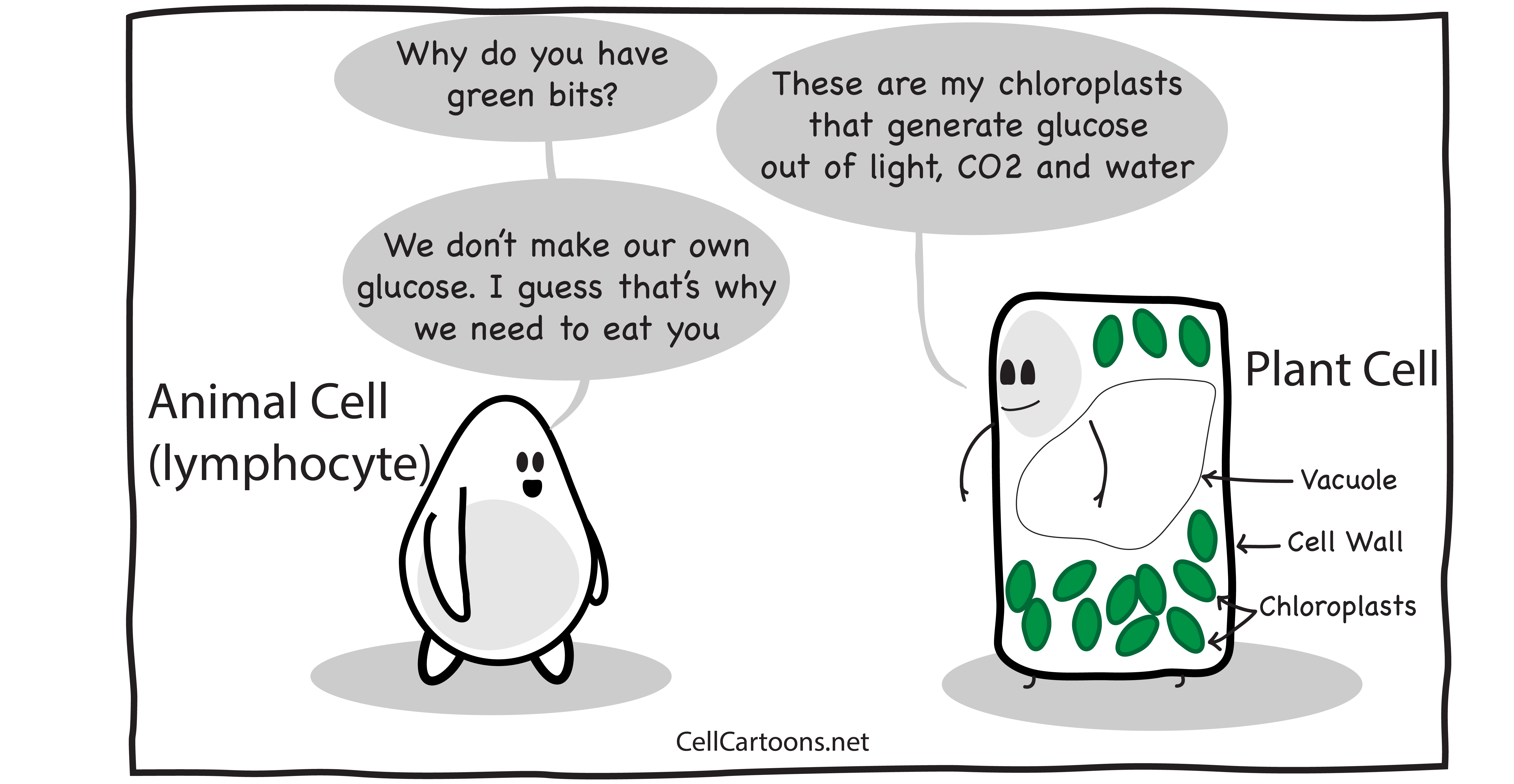 We did not find results for: Plant Cells Cell Cartoons