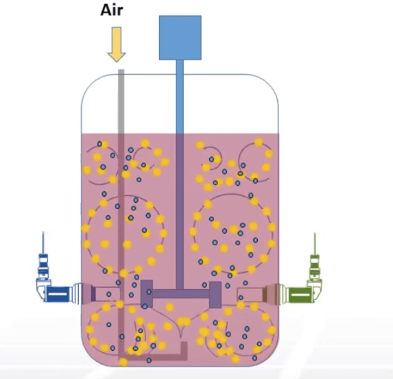 Aeration and Cell Culture Optimization in Bioreactors