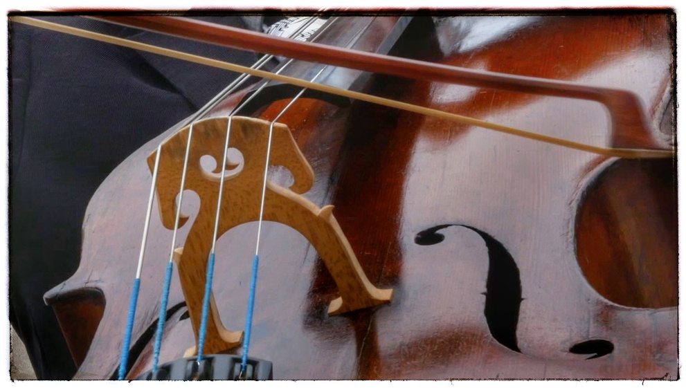 Curso Básico Clases de Cello para Principiantes Cellomaniacos