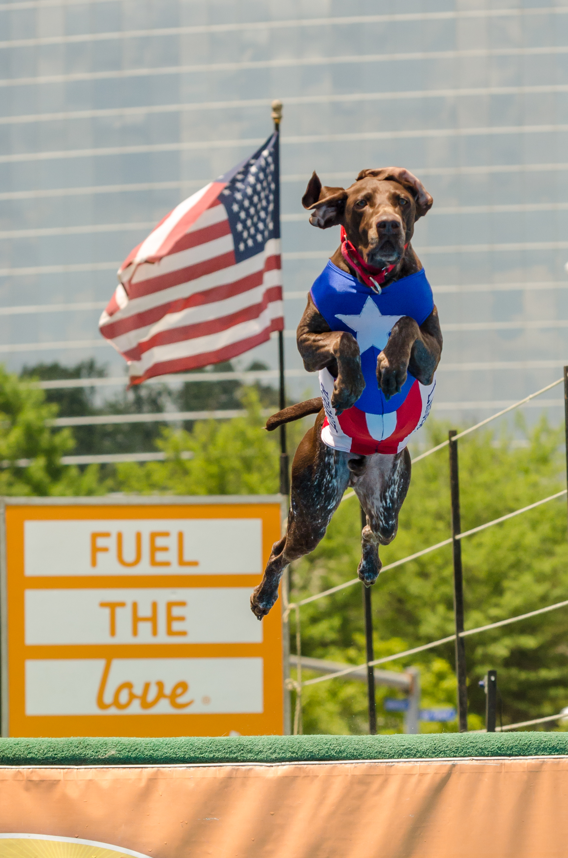 fairfax festival 2023 va Celebrate Fairfax Festival, Fairfax, VA Cello's Corner