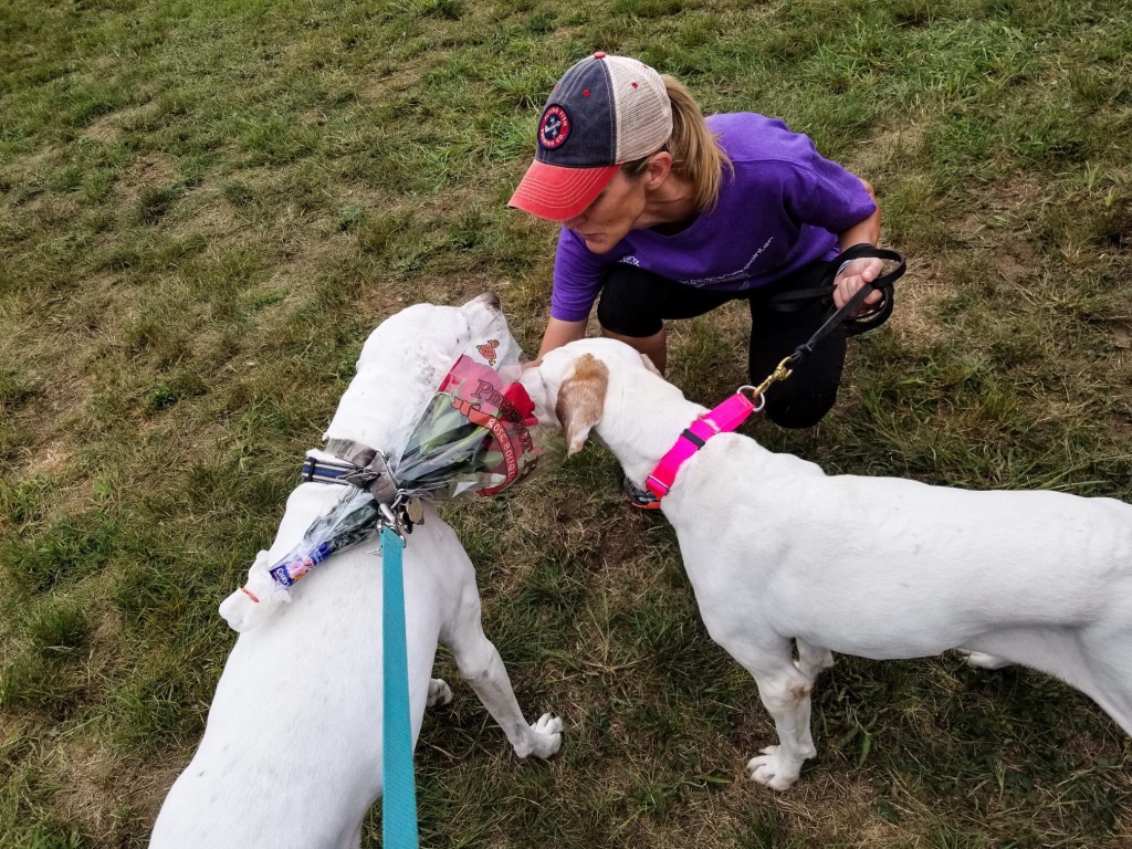 Hopkinton State Fair Contoocook, NH Cello's Corner