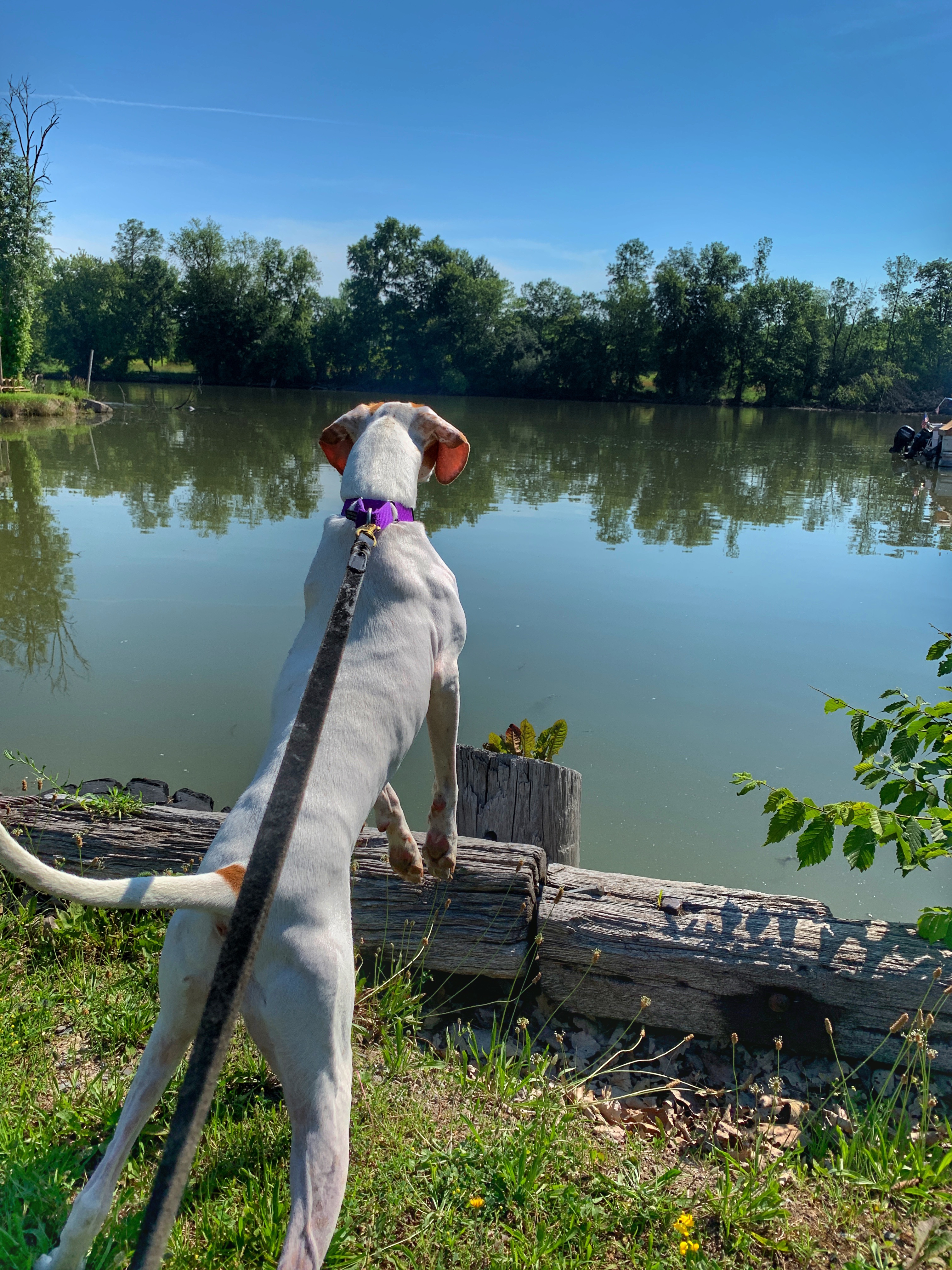 River Forest Park Weedsport, NY Cello's Corner