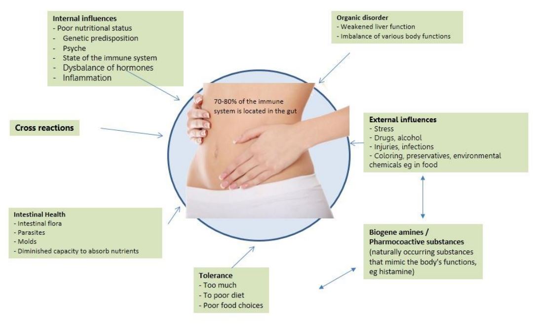 Inflammatory symptoms, immune system and food intolerance One cause