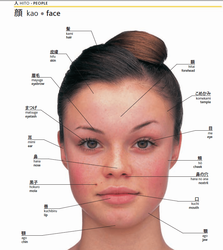 DB Teaching WIKI / RITS