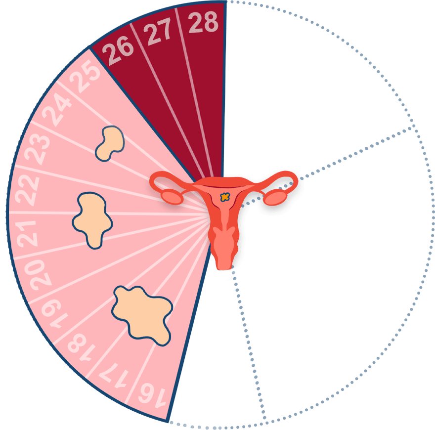 LE CYCLE MENSTRUEL Cemag Care