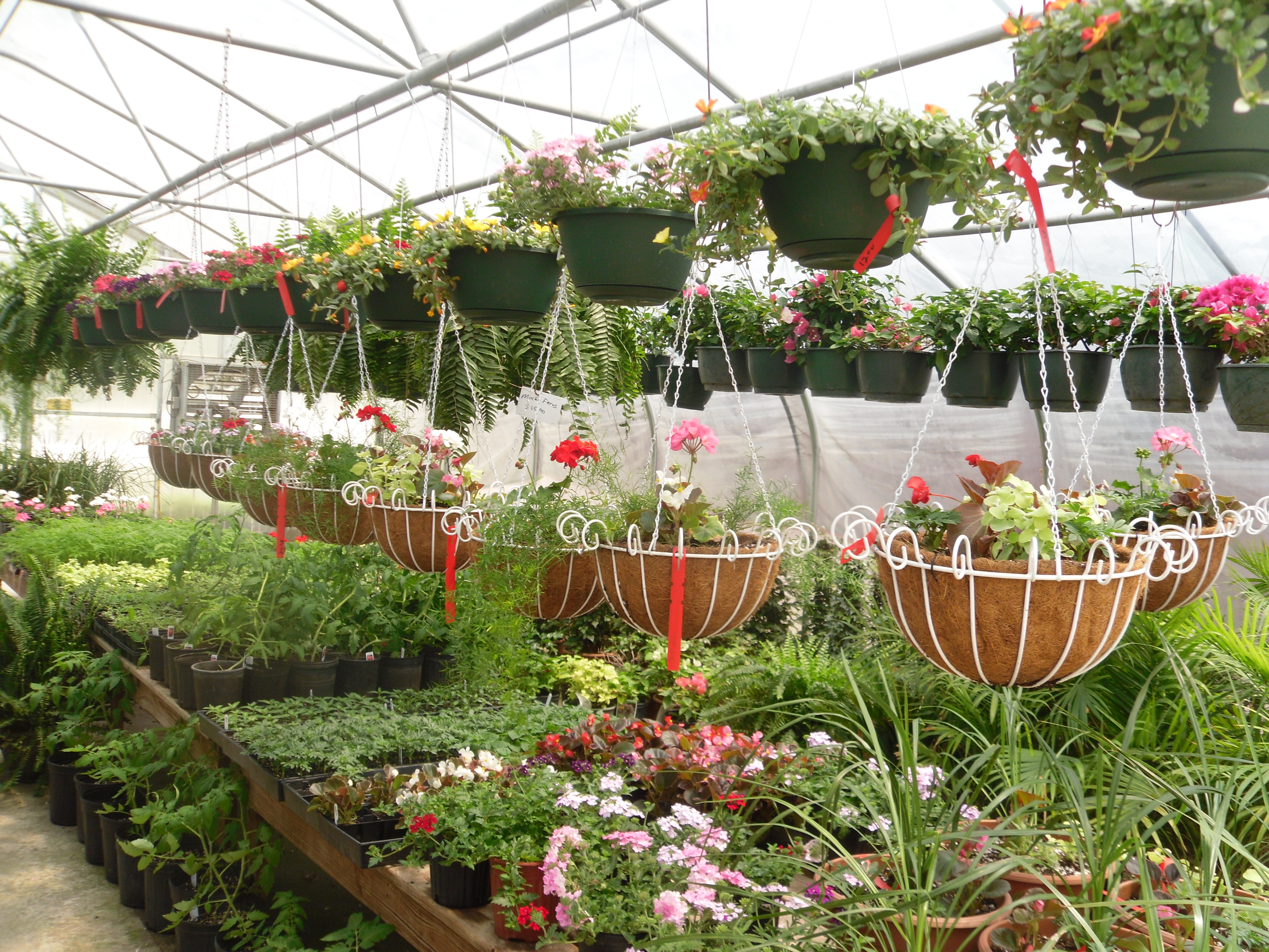 Retail Greenhouse The Cement Barn