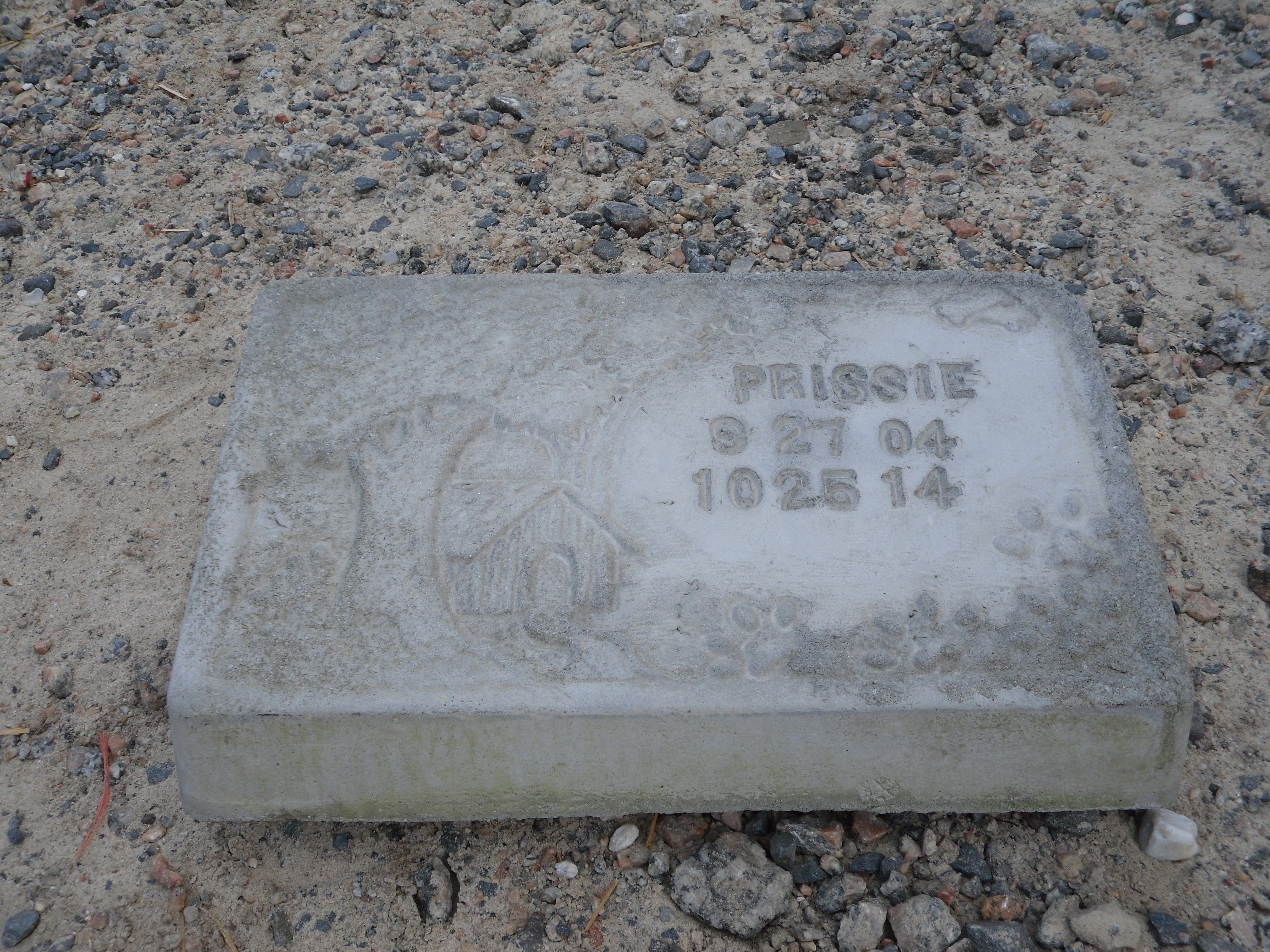 Personalized Pet Head Stone The Cement Barn