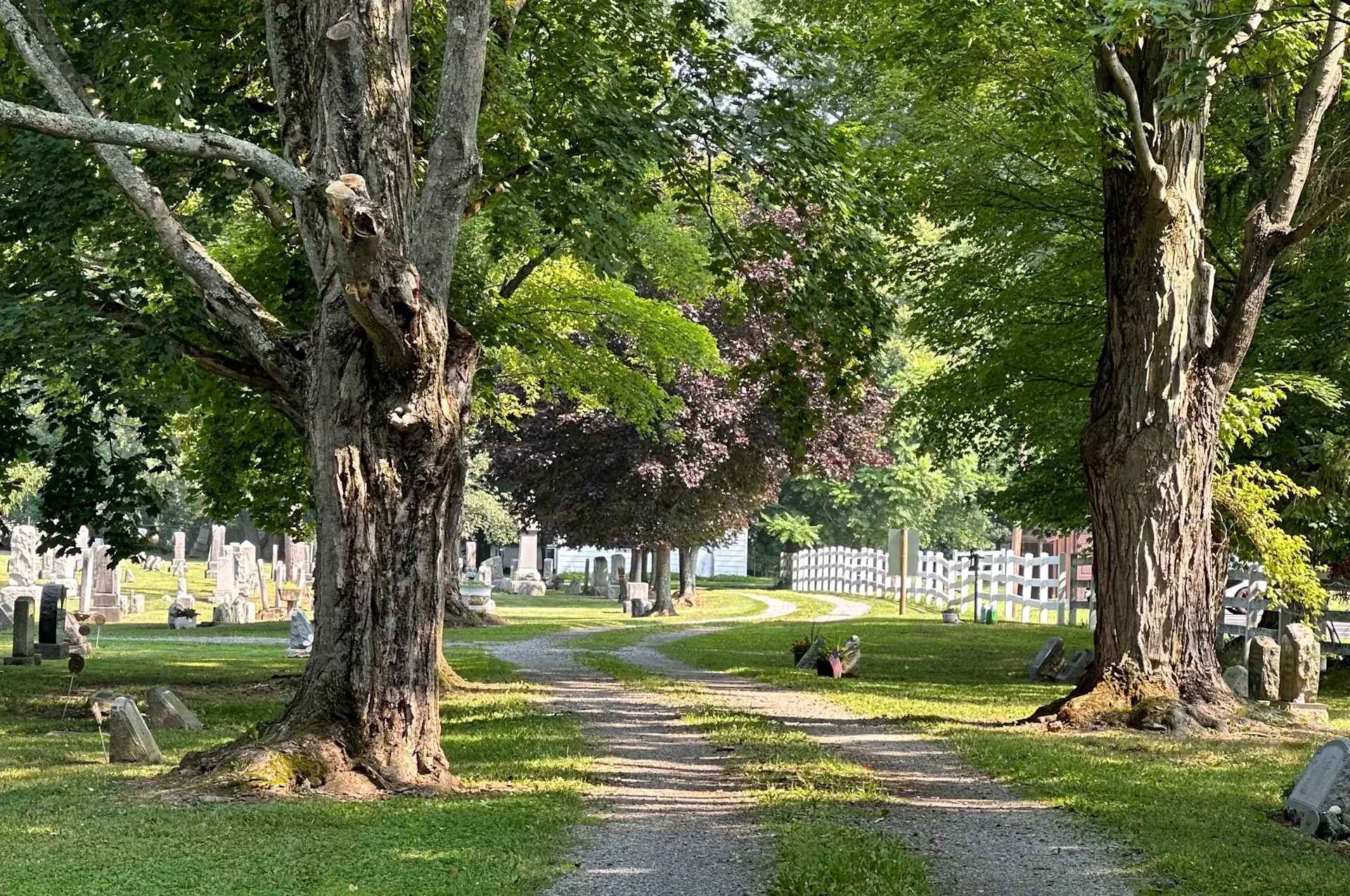 About Us Cemeteries of WNY