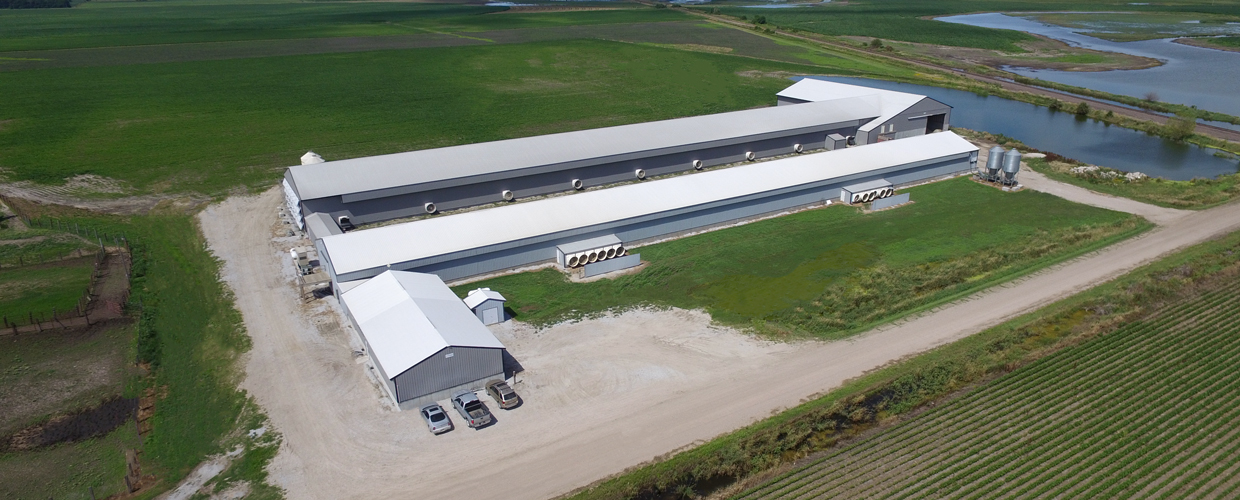 Poultry Facility Construction Experts Contact CCS Today