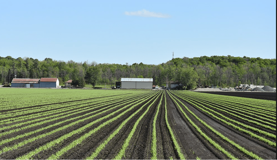 CENGN Partners with Rogers to Bring HighSpeed Broadband to the Holland