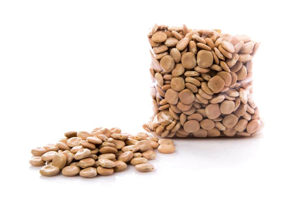 What are Lupins for Horses? Lupins for Horses Explained CEN Nutrition