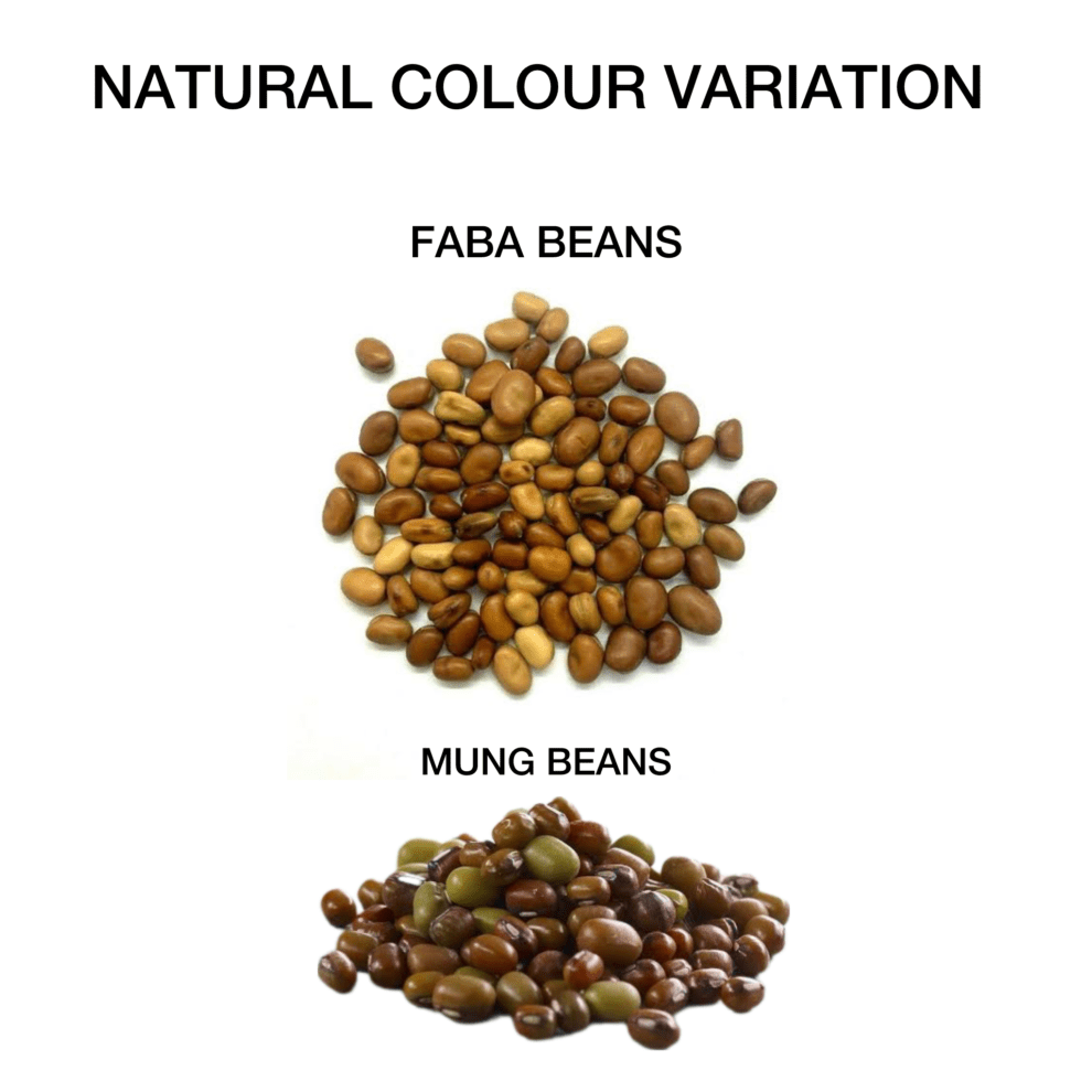 Grain Free Horse Feed CEN Nutrition