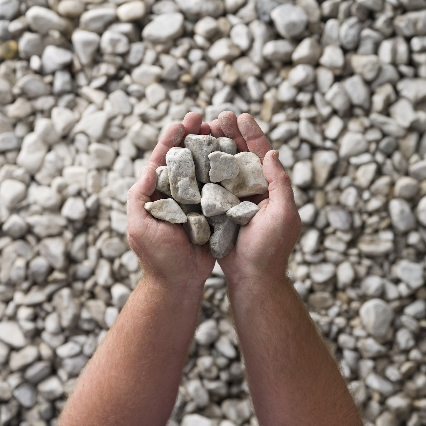 Tenterfield Mist 2040mm Centenary Landscaping