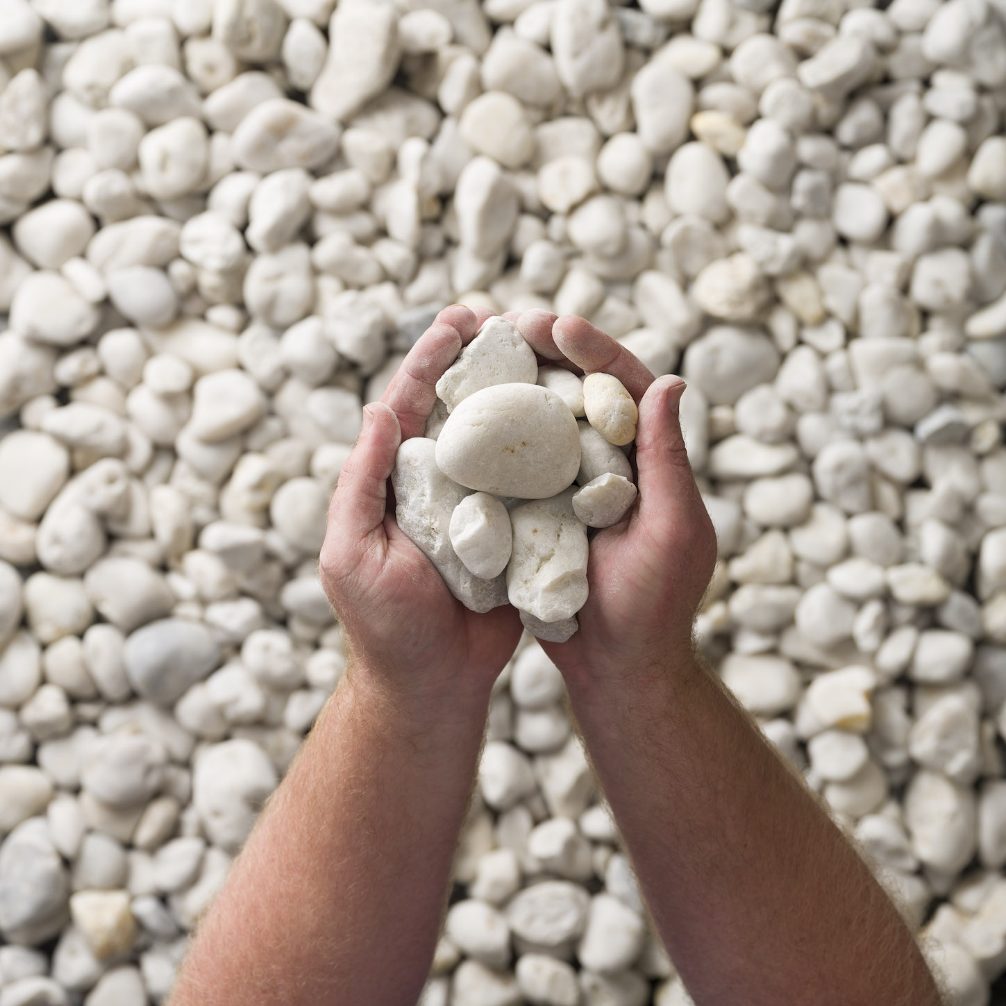 Tenterfield Pearl Centenary Landscaping